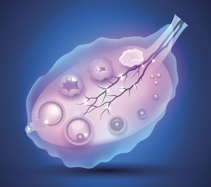 在北京做三代试管婴儿，有私立医院可以做吗？